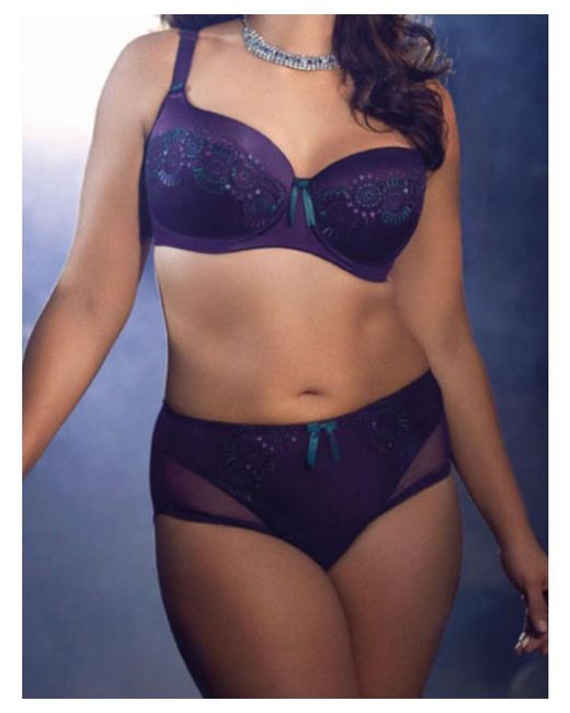 Elomi Blue Paloma Brief