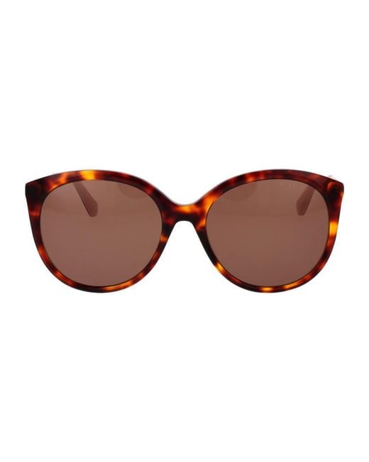 Ted Baker Brown Tb1741 55100 55 100 Sunglasses