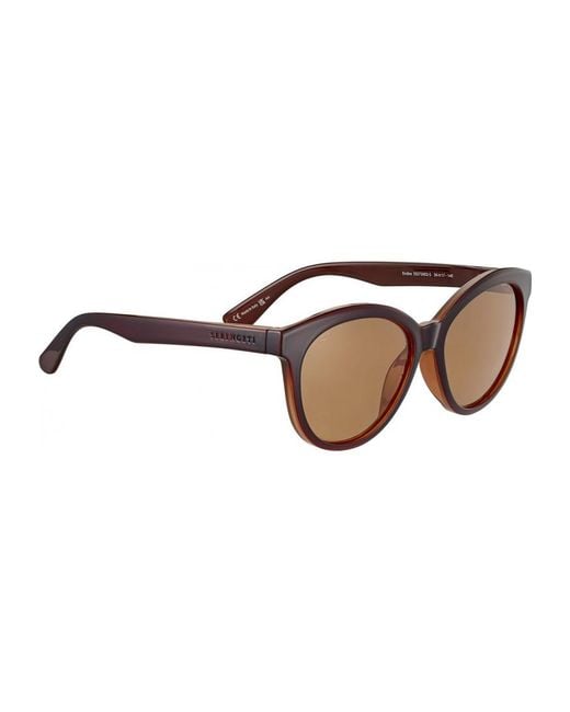 Serengeti Brown Ss573002-S 56 Endee Sunglasses