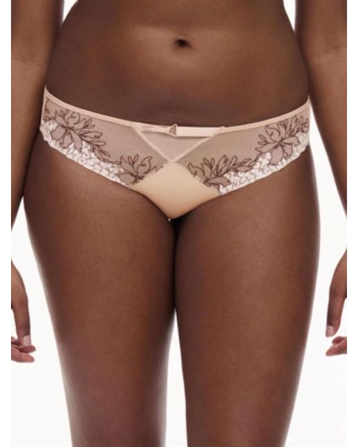 Chantelle Brown Spice Brazilian