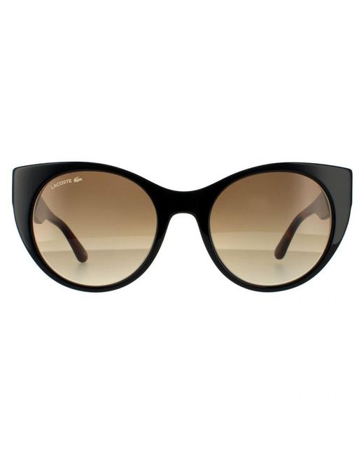 Lacoste Brown Cat Eye And Havana Gradient Sunglasses