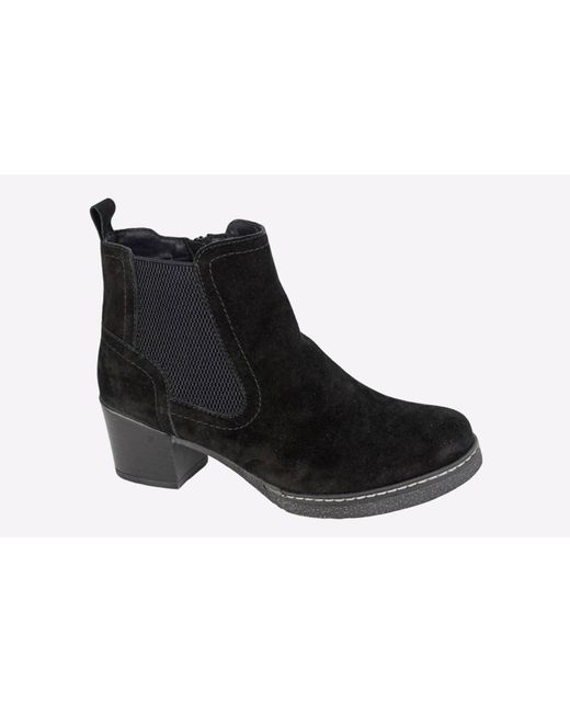 Cipriata Black Alessina