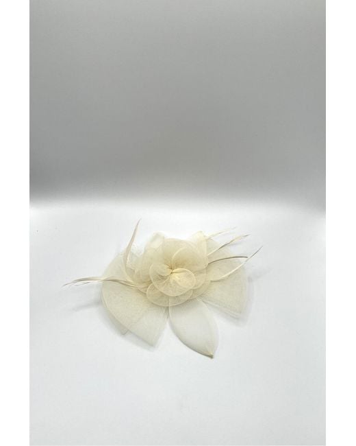SVNX Blue Rosette Bow Fascinator