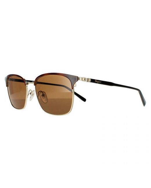 Ferragamo Brown Square Havana Shiny With Sunglasses for men