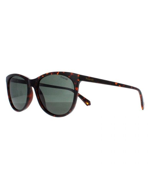 Polaroid Gray Cat Eye Havana Polarized Pld 4161/S