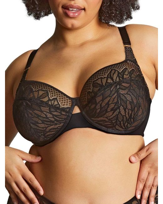Panache Black Sophia Full Cup Bra