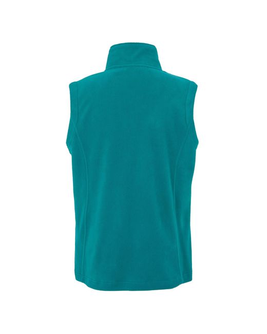 Regatta Green Great Outdoors /Ladies Outdoor Classics Sweetness Ii Bodywarmer (Exotic Plume/