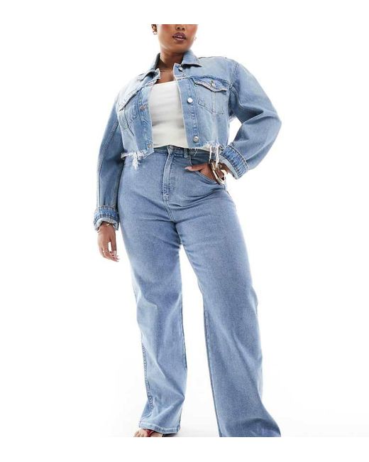 Dr. Denim Blue Plus Moxy Straight Leg Jeans