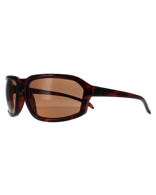 Serengeti Brown Wrap Shiny Tortoise Saturn Drivers Polarized Hext for men