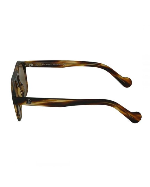 Moncler Brown Ml0073 50E Sunglasses for men