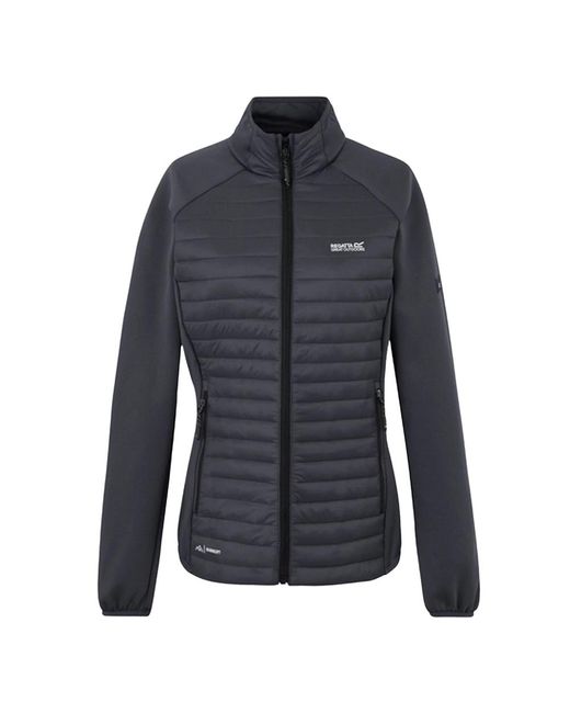 Regatta Blue Ladies Clumber Hybrid Jacket (Seal)
