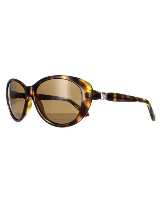 Ted Baker Brown Oval Havana Gradient Tb1315 Cougar