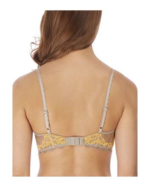 Wacoal Brown Lace Perfection Underwire Bra