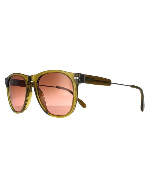 Serengeti Brown Round Gunmetal Polarized Drivers Gradient Amboy for men