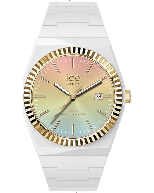 Ice-watch Gray 024766 Ladies Ice Power Watch