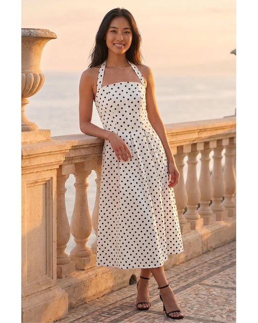 Roman Brown Petite Polka Dot Stretch Midi Dress