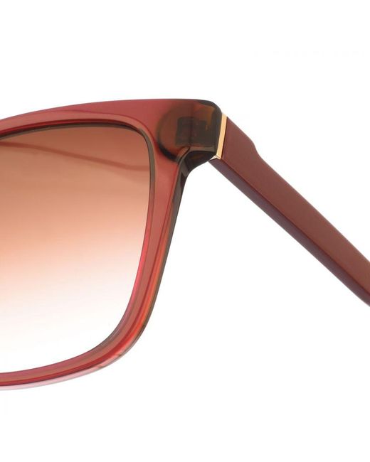 Calvin Klein Brown Square Shaped Acetate Sunglasses Ckj21530S
