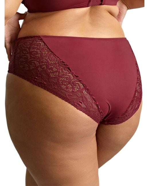 Panache Purple Estel Deep Brief