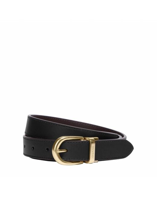Black coach belt sale