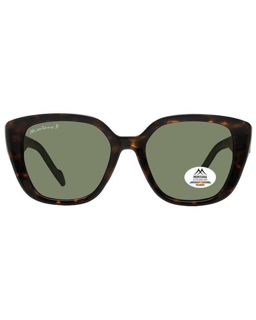 Montana Green Butterfly Shiny Dark Turtle Polarized Mp180 for men