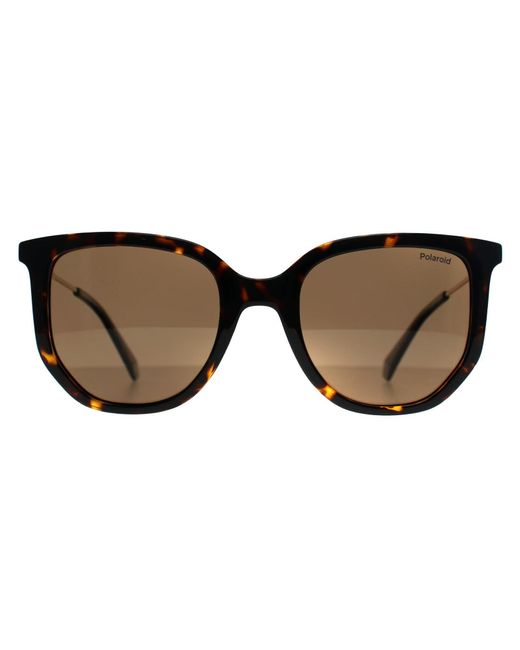 Polaroid Brown Pld 4185/S/X 086 Sp Havanna Bronze Polarisierte Sonnenbrille