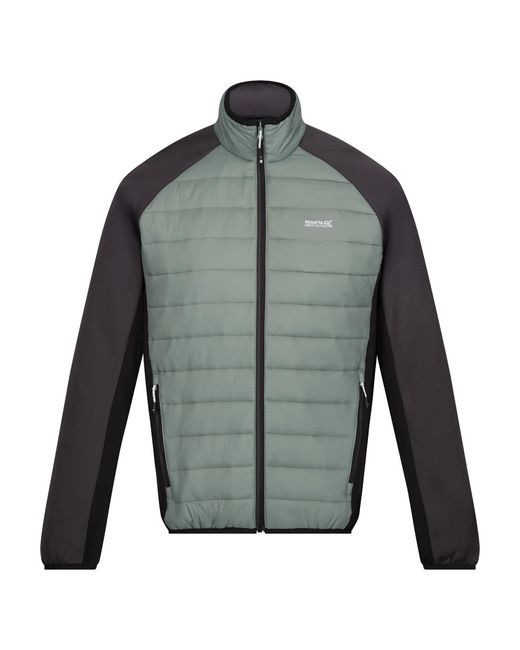 Regatta Gray Clumber Iv Full Zip Hybrid Jacket (Agave/Ash) for men