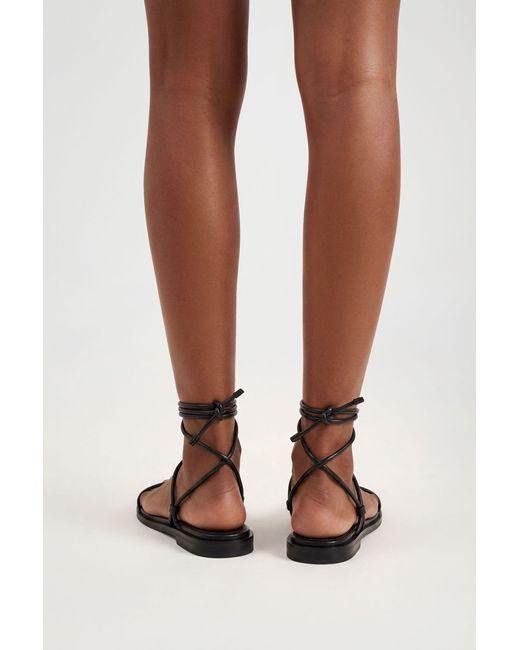 Boohoo Black Lace Up Gladiator Sandals