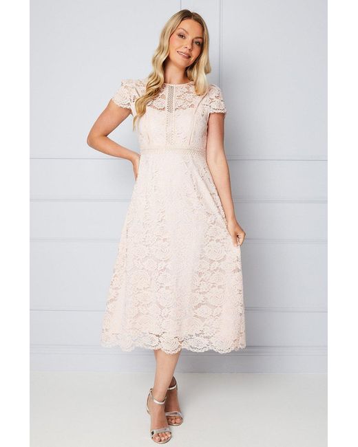 Wallis White Lace Fit And Flare Midi Dress