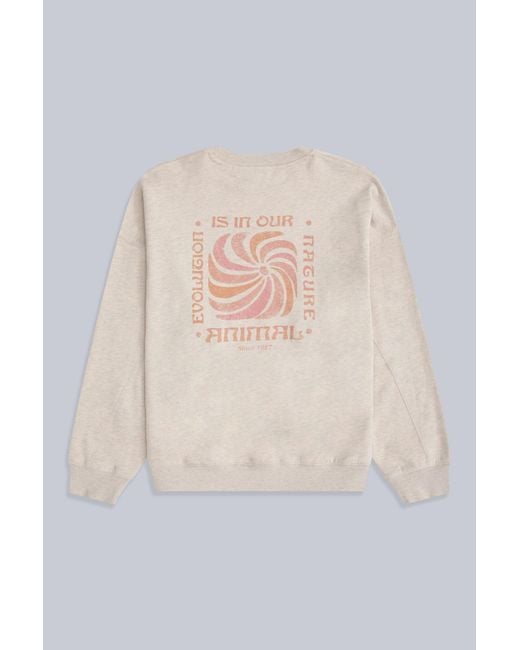 Mountain Warehouse White 'Dakota' Sweatshirt Casual Soft Cotton Stylish Lightweight Pullover Top