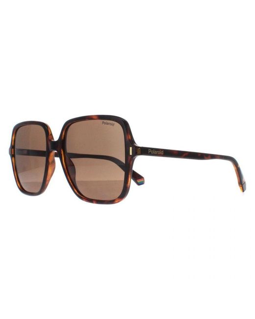 Polaroid Brown Square Frame Polarized Sunglasses