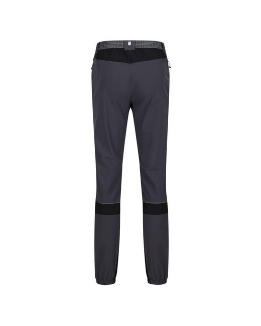 Regatta Blue Mountain Iii Hiking Trousers (Seal/ for men