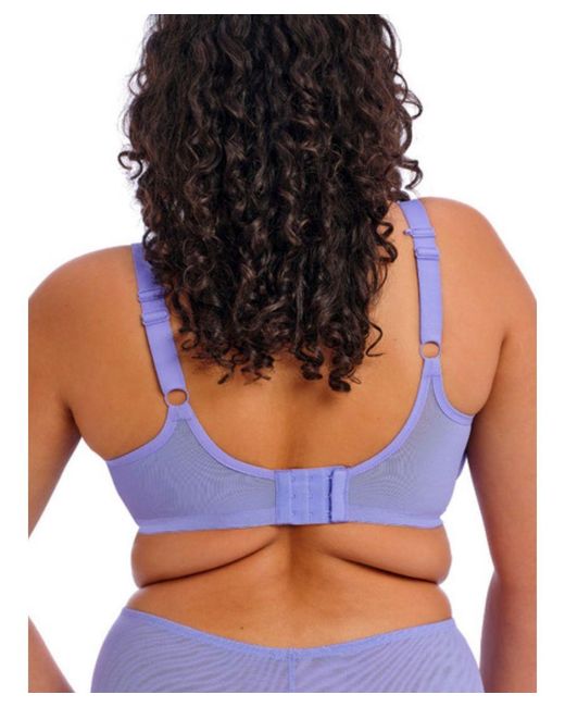 Elomi Blue Brianna Half Cup Bra