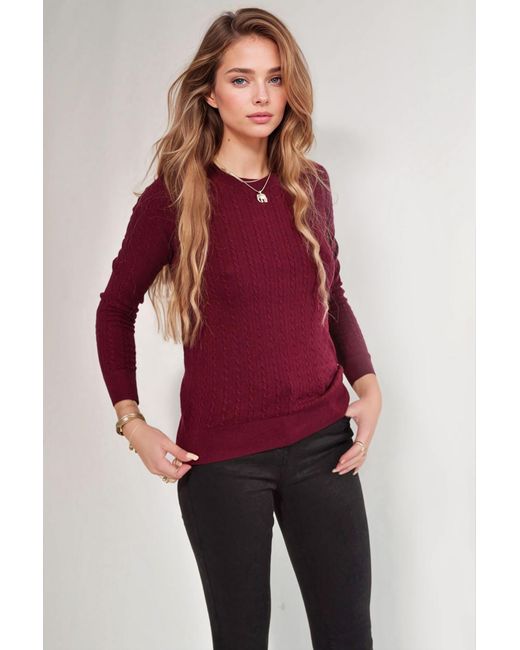Banana Republic Red Cable Knit Round Neck Jumper