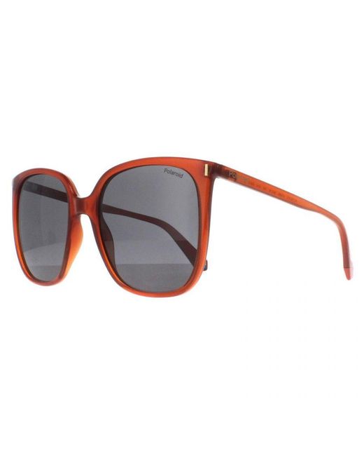 Polaroid Gray Square Polarized Pld 6218/S