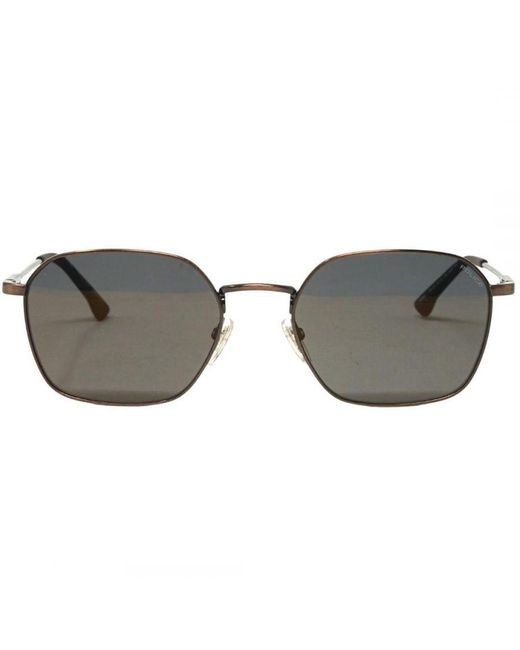 Police Gray Spl970M A41G Sunglasses for men