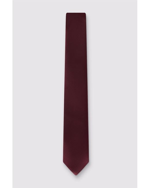 Limehaus Purple Plain Tie for men