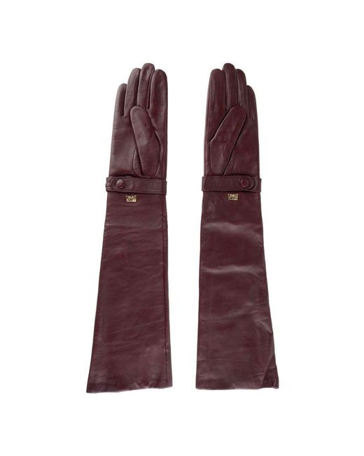 Class Roberto Cavalli Purple Luxurious Leather Glove