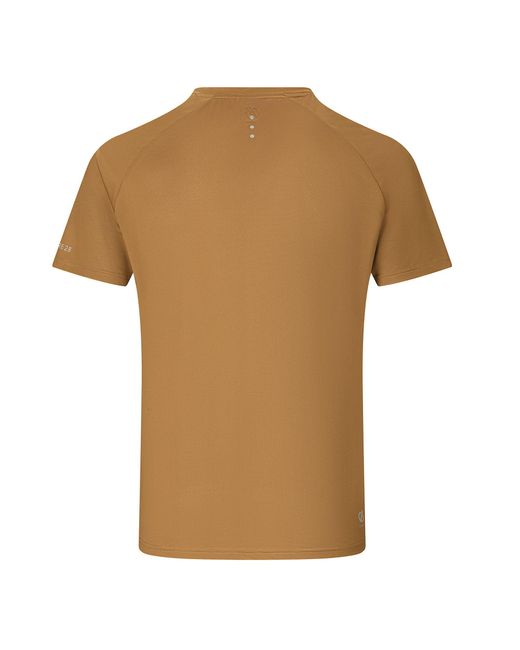 Dare 2b Brown Tech Ii Bicycle T-Shirt (Dark Cumin) for men
