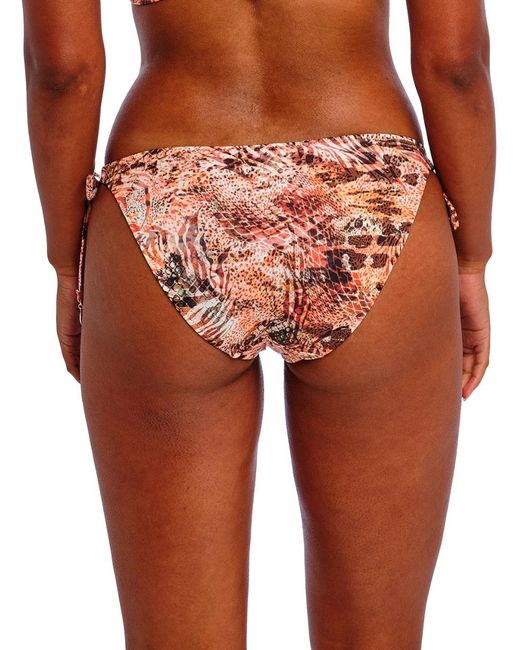 Freya Orange Desert Cat Tie Side Bikini Brief