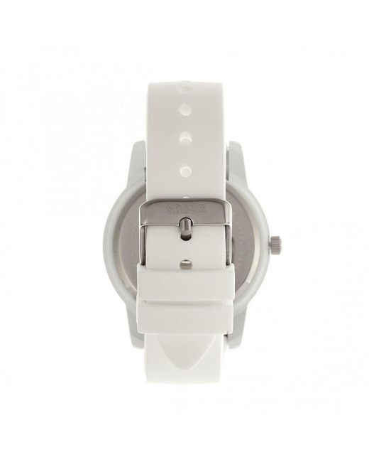 Crayo Metallic Festival Watch W/ Date
