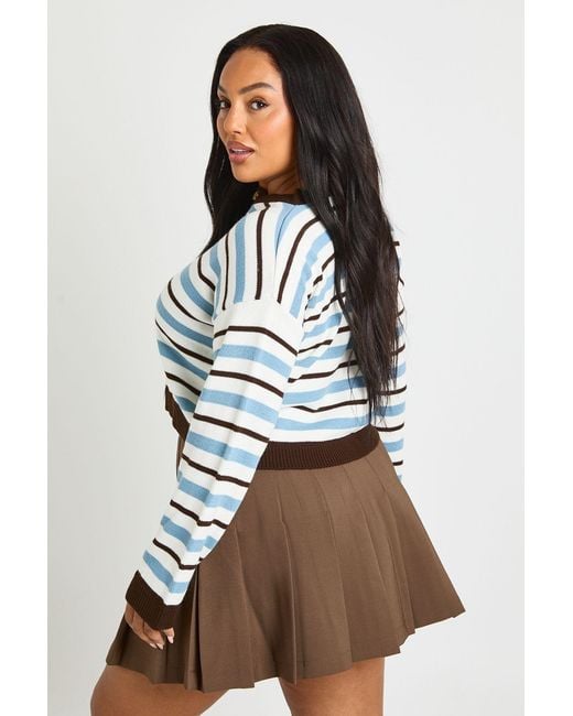 Boohoo Blue Plus Stripe Crew Neck Cardigan