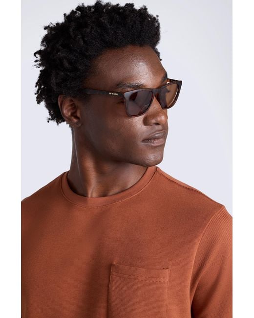 Mountain Warehouse Brown 'Hazel' Polarized Sunglasses Uv400 Protection Matte Frame Summer Eyewear