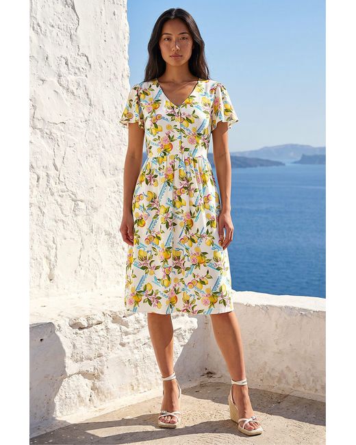 Roman White Petite Lemon Print Pocket Dress