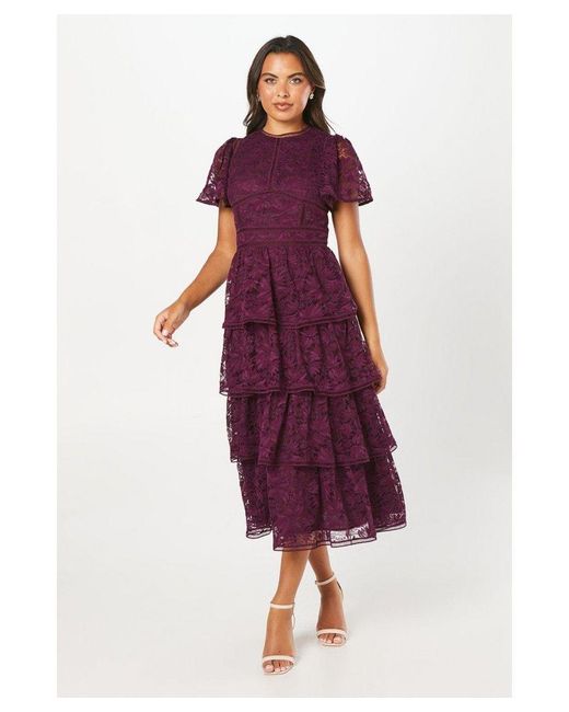 Coast Tiered Lace Dress With Flutter Sleeve & Trims