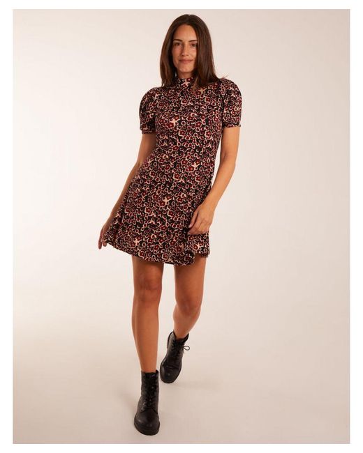 Blue vanilla red leopard print shop dress