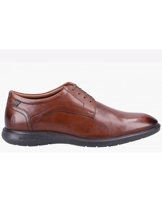 Hush Puppies Brown Amos for men