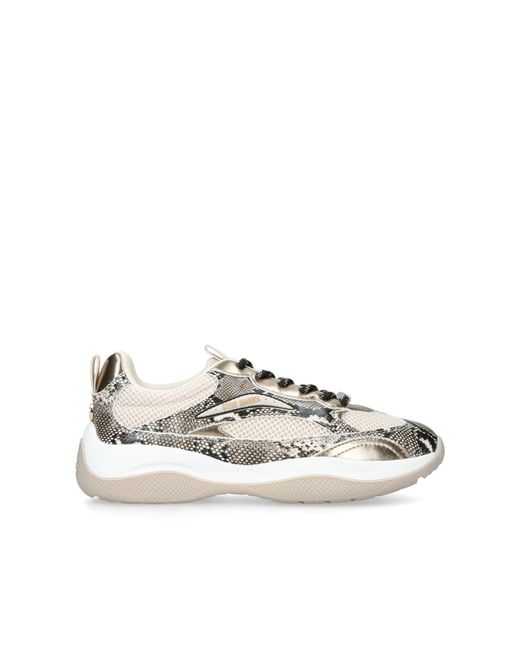 Steve Madden Metallic Premio Sneakers