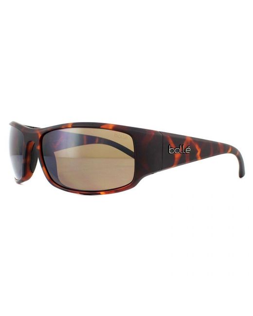 Bolle Brown Sunglasses King 12588 Matte Tortoise Polarized