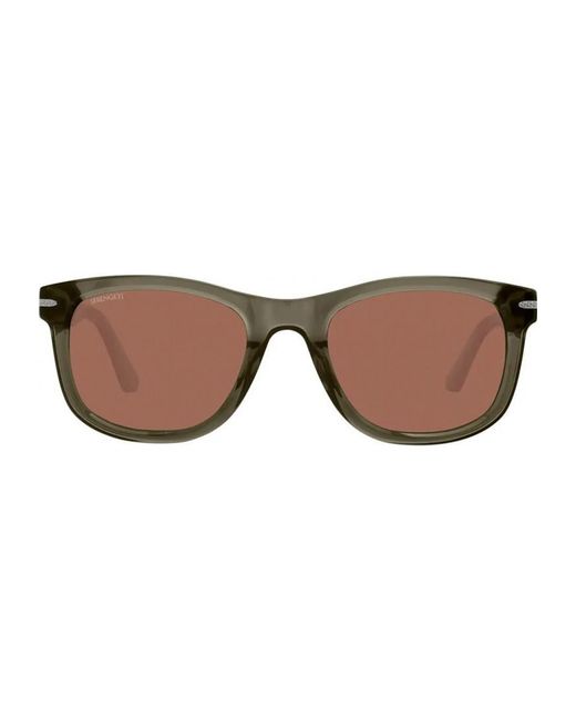 Serengeti Brown Ss745004-S 54 Danny Sunglasses