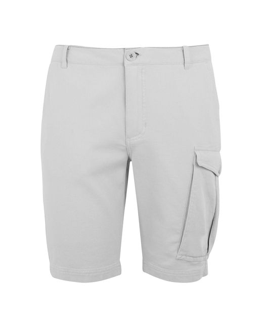 Regatta Gray Bendrick Shorts (Iceberg) for men